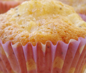 queques de fruta maça com cobertura mimo