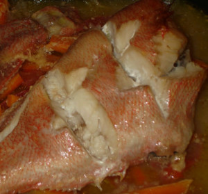 red fish com o seu segredo encantado